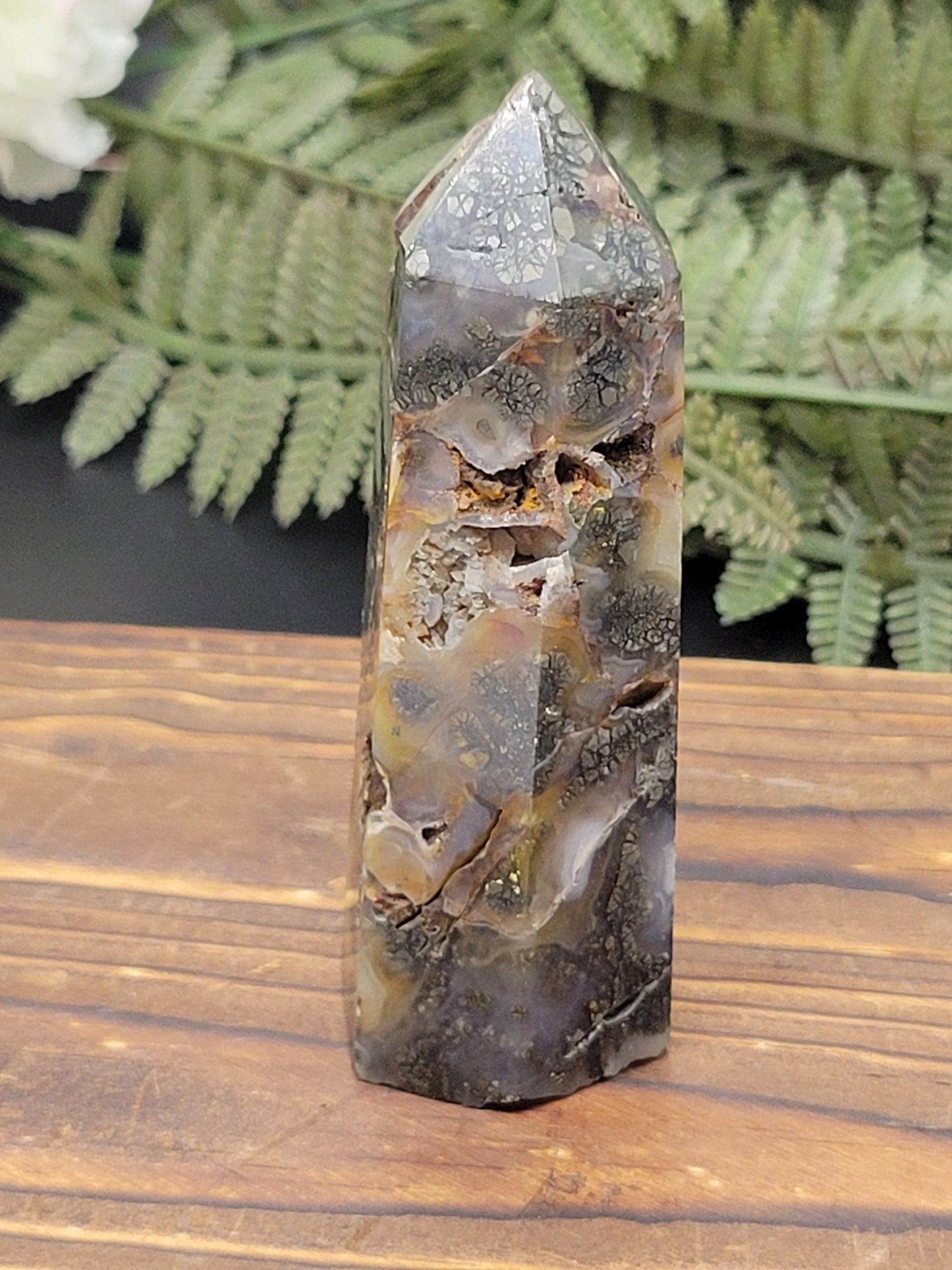 Agatized Pyrite Points