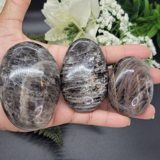 Black Moonstone Palm Stones